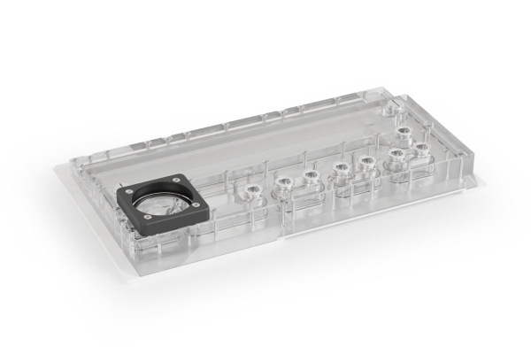 AGB Alphacool Apex Distroplate Y70 D5/DDC - White