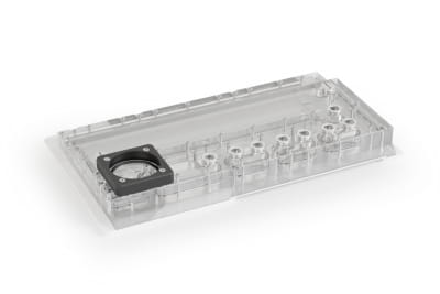 AGB Alphacool Apex Distroplate Y70 D5/DDC - White